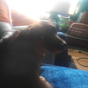 Meet your Posher, Delinda